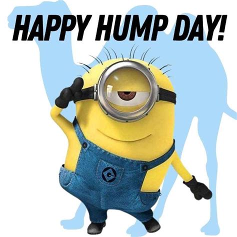 sexy happy hump day meme|45 Hump Day Memes To Get You Through The Rest。